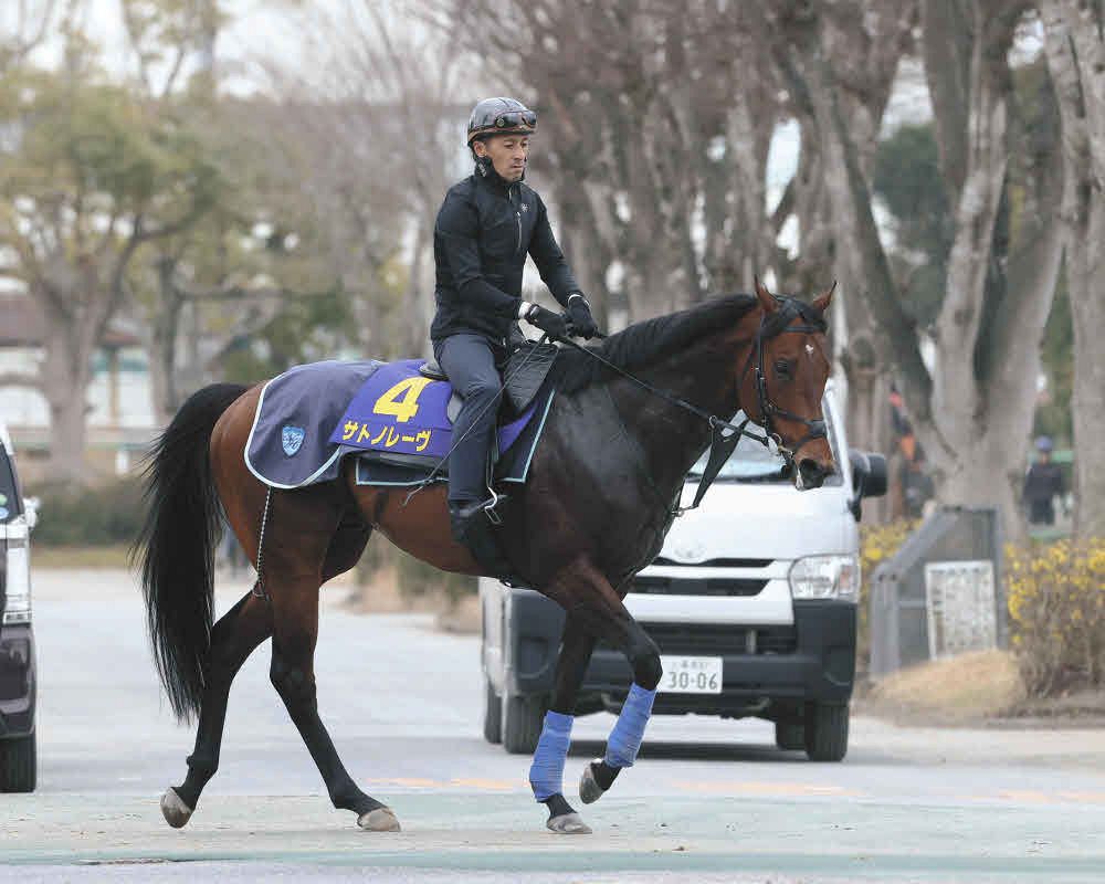 消せる馬・高松宮記念】前走10着以下は勝率0％・ジューンブレア