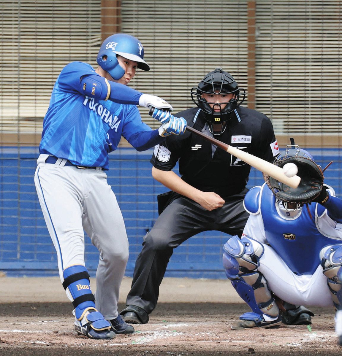 川又米利の目】「”相手が嫌がる野球を”という姿勢が随所に」新指揮官は 川又米利の目】「”相手が嫌がる野球を”という姿勢が随所に」新指揮官は