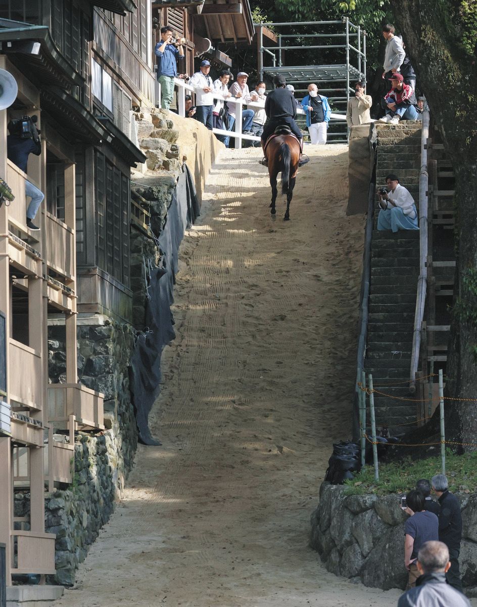 多度大社上げ馬リハーサル全馬が成功 土壁なくし傾斜緩やかに動物虐待