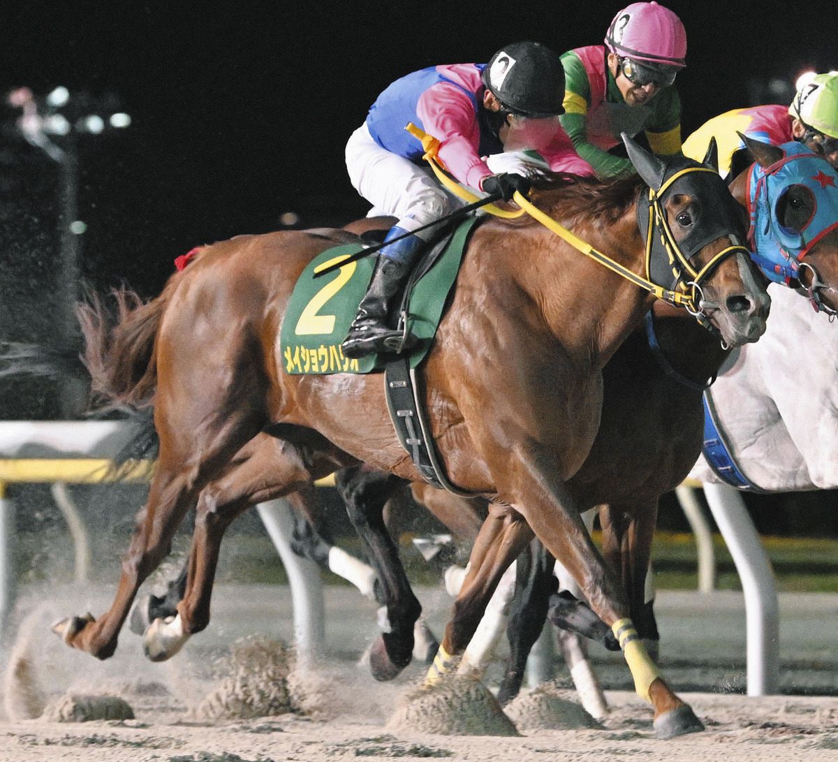 チャンピオンズC】8歳馬メイショウハリオが武豊を背にラストランに向け