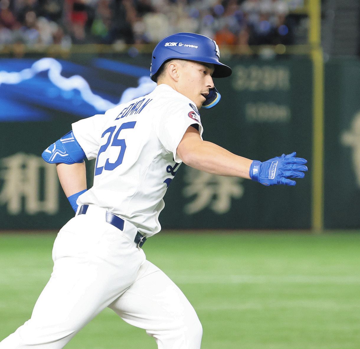 ひまわりの種　ジャイアンツ　大谷翔平　ドジャース ひまわりの種 163g GIANTS 大谷翔平 ドジャース - メルカリ