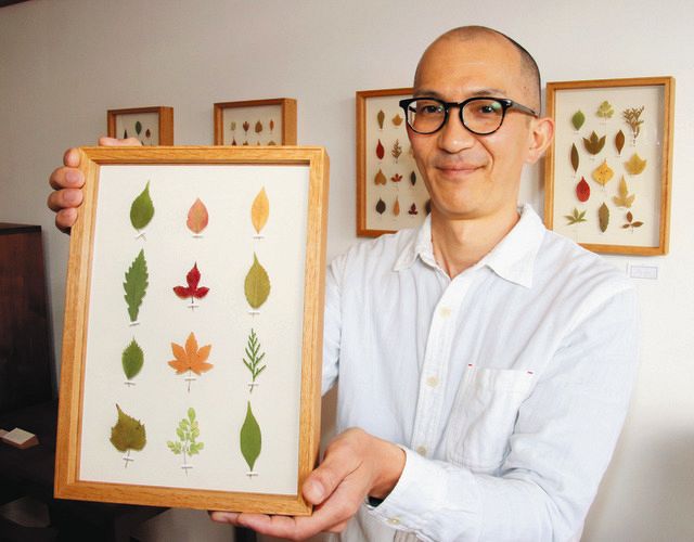 庭木の思い出を押し葉の額装に 東近江の家具工房が受注販売：中日新聞Web