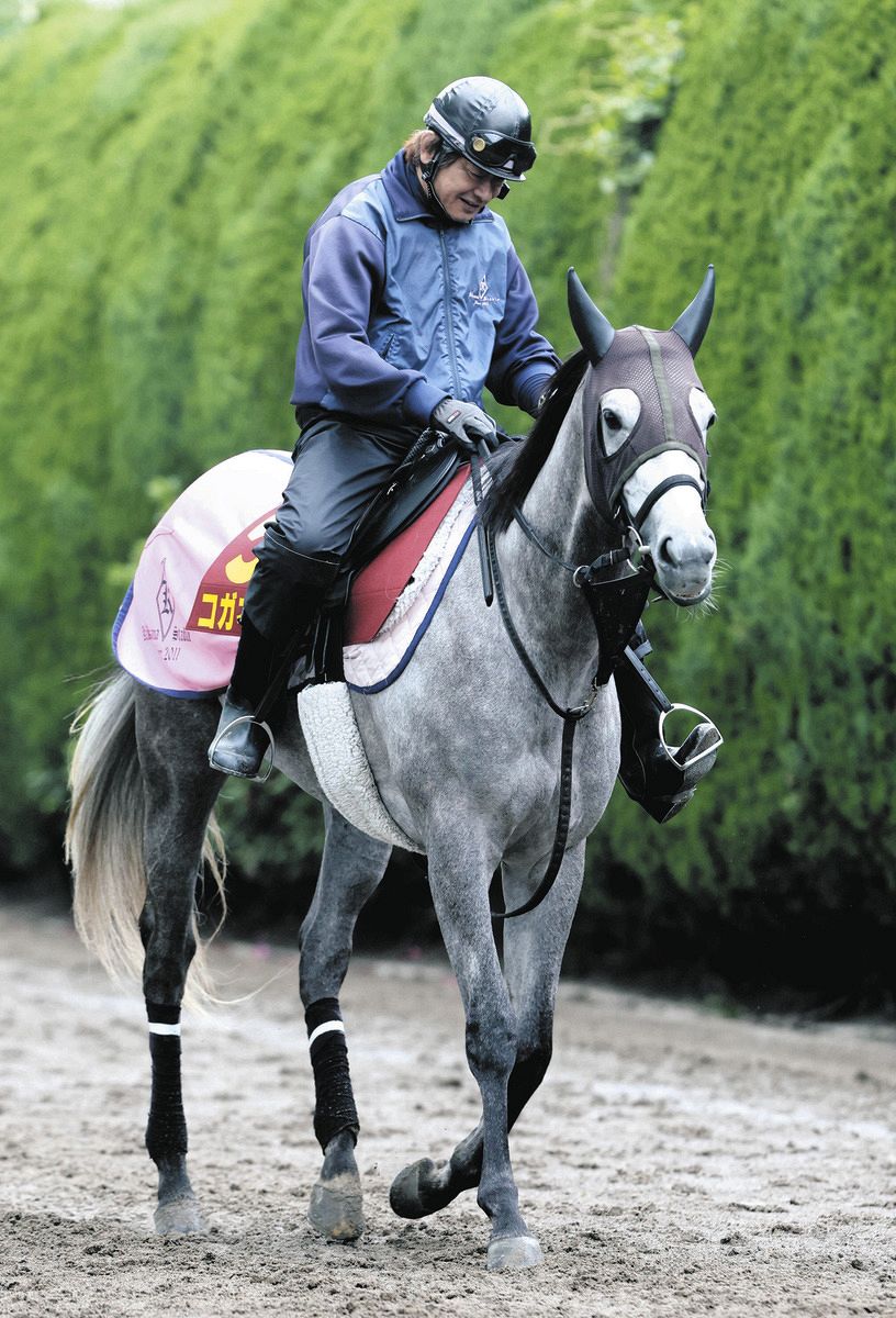 競馬 ゴールドシップ  グラス 競馬 ゴールドシップ グラス （netkeibaオリジナル】ゴールド