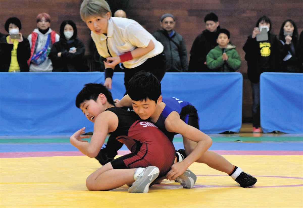 中学生 レスリング 
