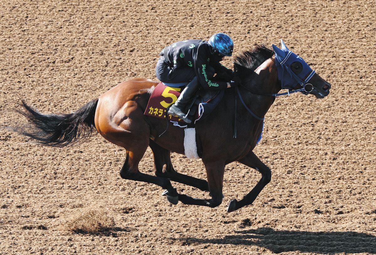 秋華賞追い切り】カネラフィーナ6F78秒9―11秒6の一番時計マーク 好感触