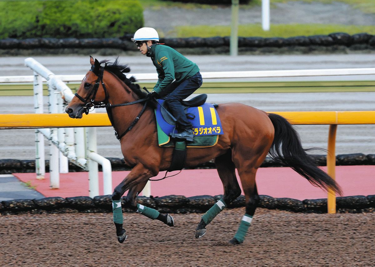 ベラジオオペラ