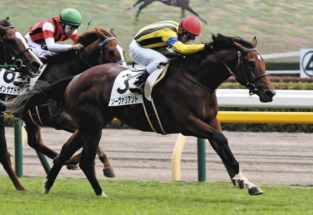大竹厩舎所属2歳馬から禁止薬物カフェイン検出、7日の未勝利勝ちは失格