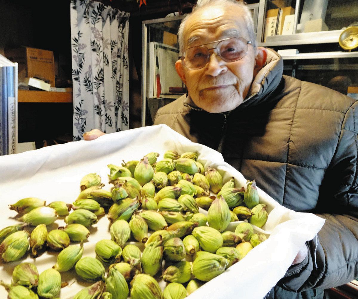 村本さんフキノトウ 秋篠宮さまに献上へ 羽咋の朱鷺資料館長：北陸中日
