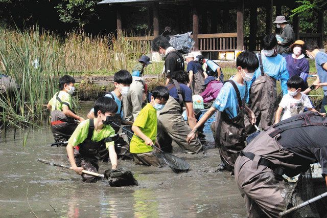 水を抜いた池の中で魚を捕まえようとする子どもたち＝亀山市の里山公園「みちくさ」で 
