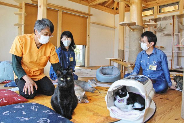 ペット病院 販売 猫カフェ