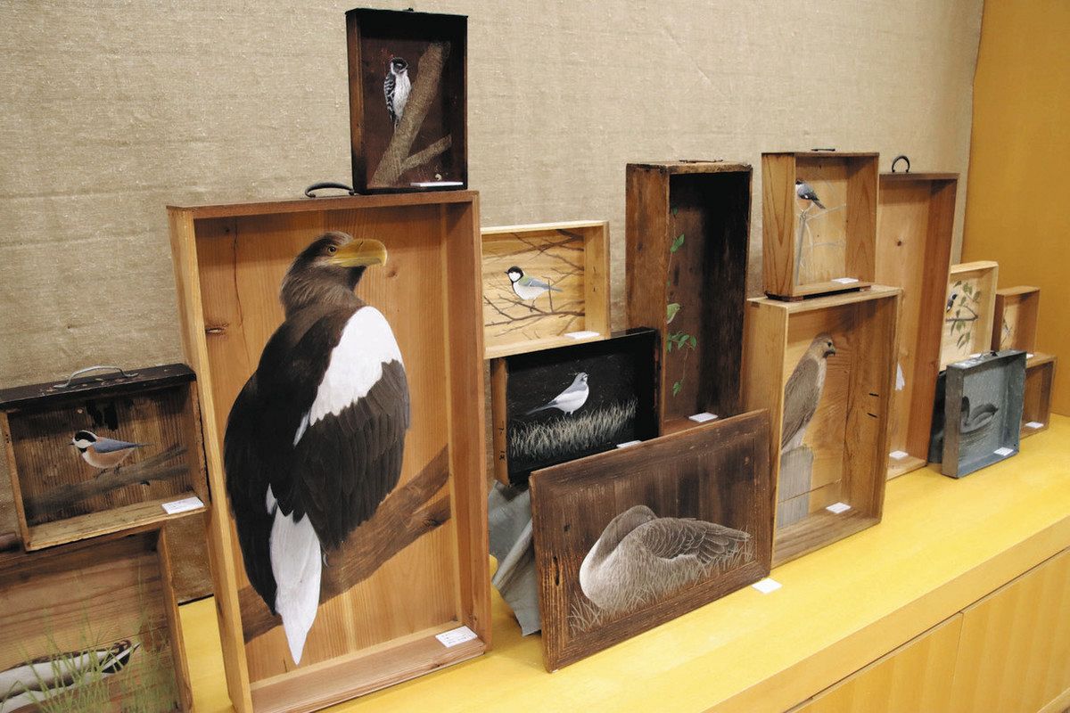 琵琶湖の鳥、引き出し底に細密画 東近江・永源寺図書館でユカワさんの