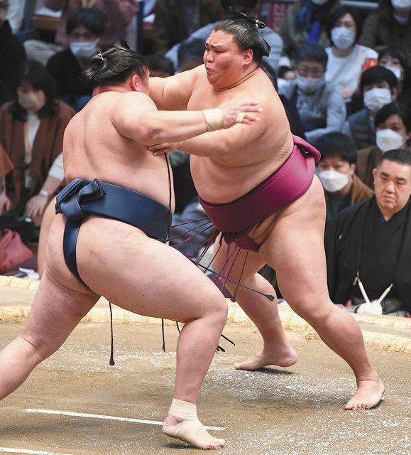 大相撲 春 場所 速報