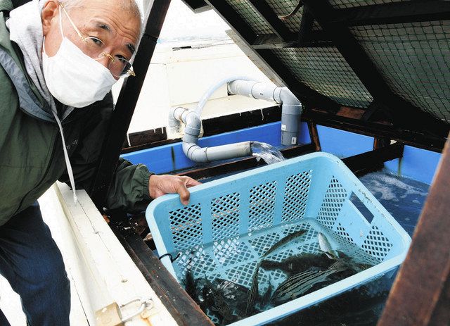 「さかなつかみ」の出番を待つ浜名湖産の魚を紹介する榊原信一さん＝湖西市新居町で