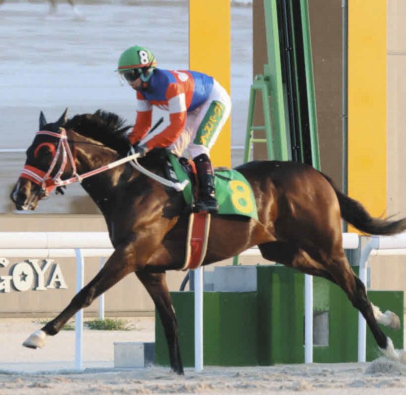 ぎふ清流カップの主役を担うケイズレーヴ