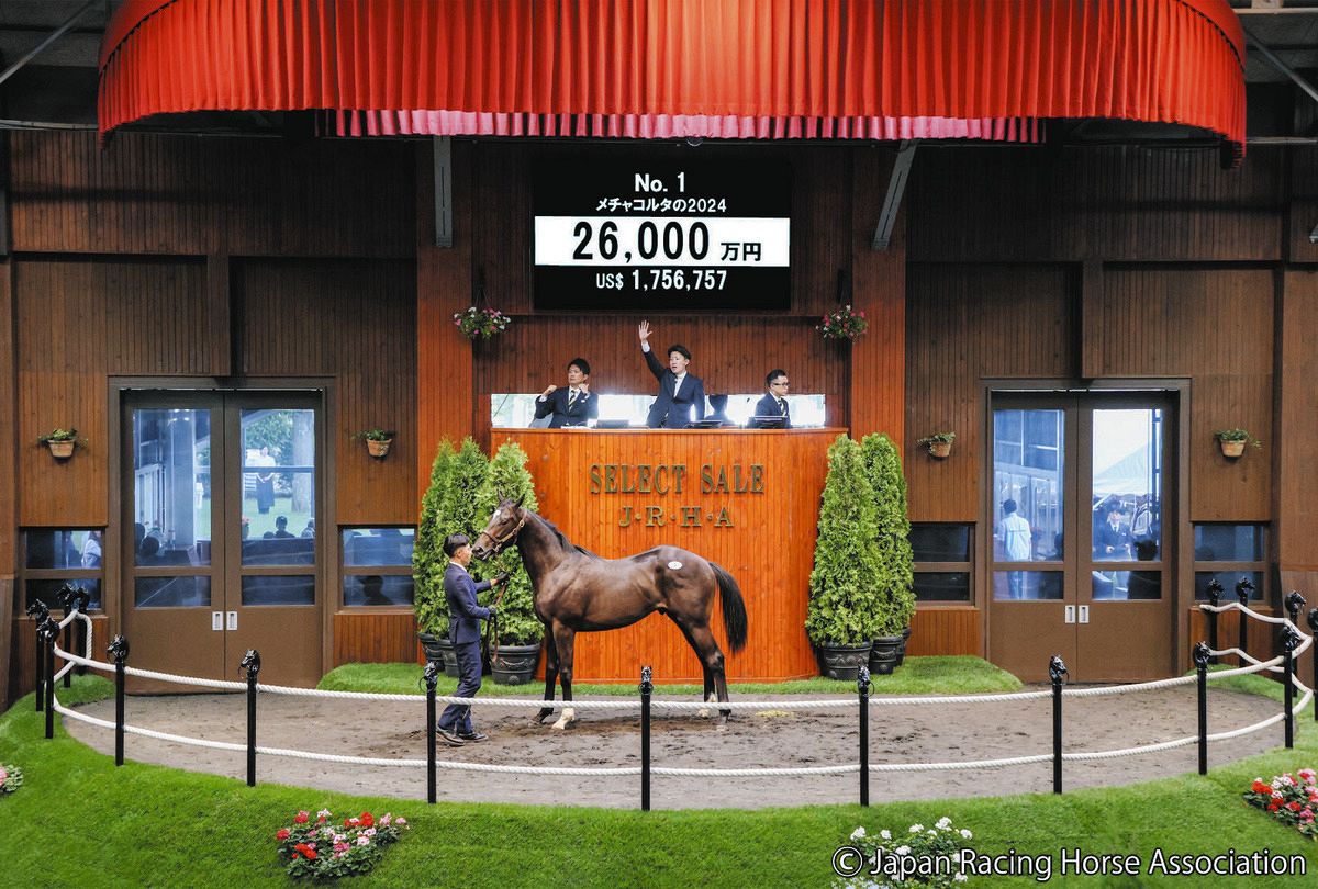 セレクトセール2025】コントレイル産駒がいきなり2億6000万円で落札