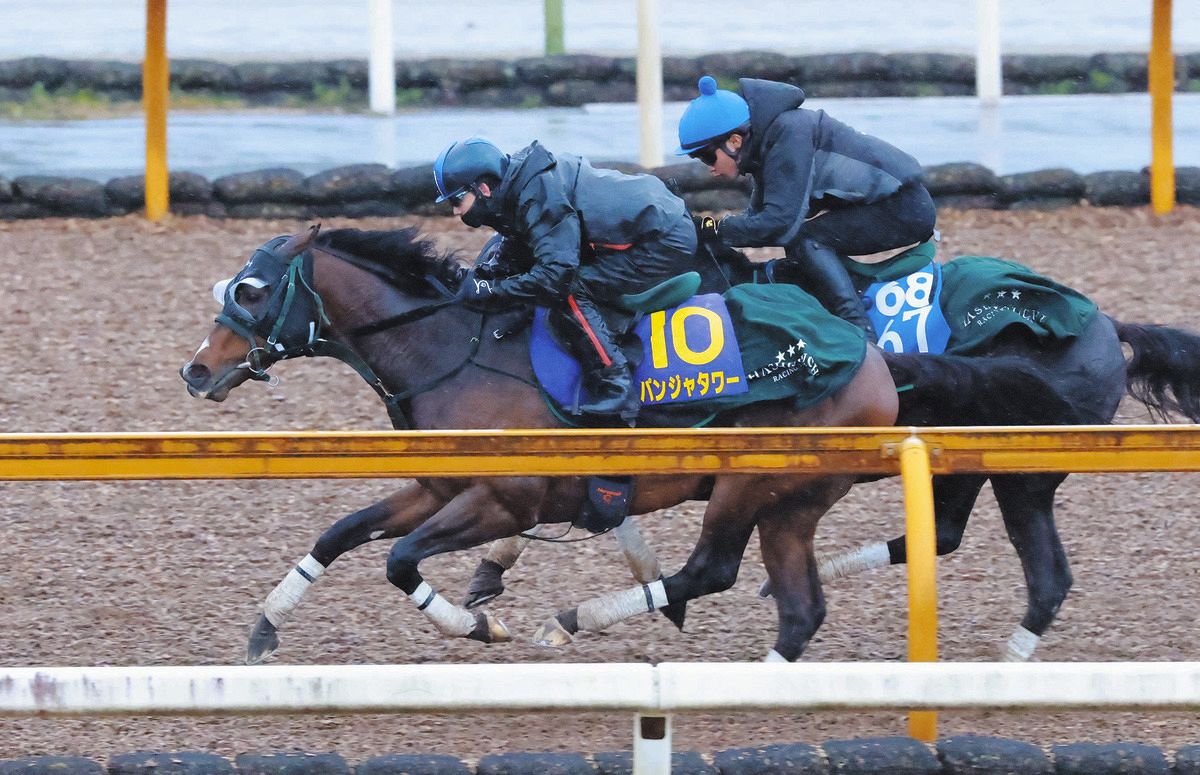 高松宮記念・1週前】サウジから転戦のパンジャタワーは半馬身差先着