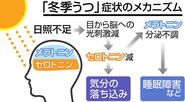 売れ筋オンラインストア VALKEE2 季節性うつ 不安症治療 日光浴 睡眠