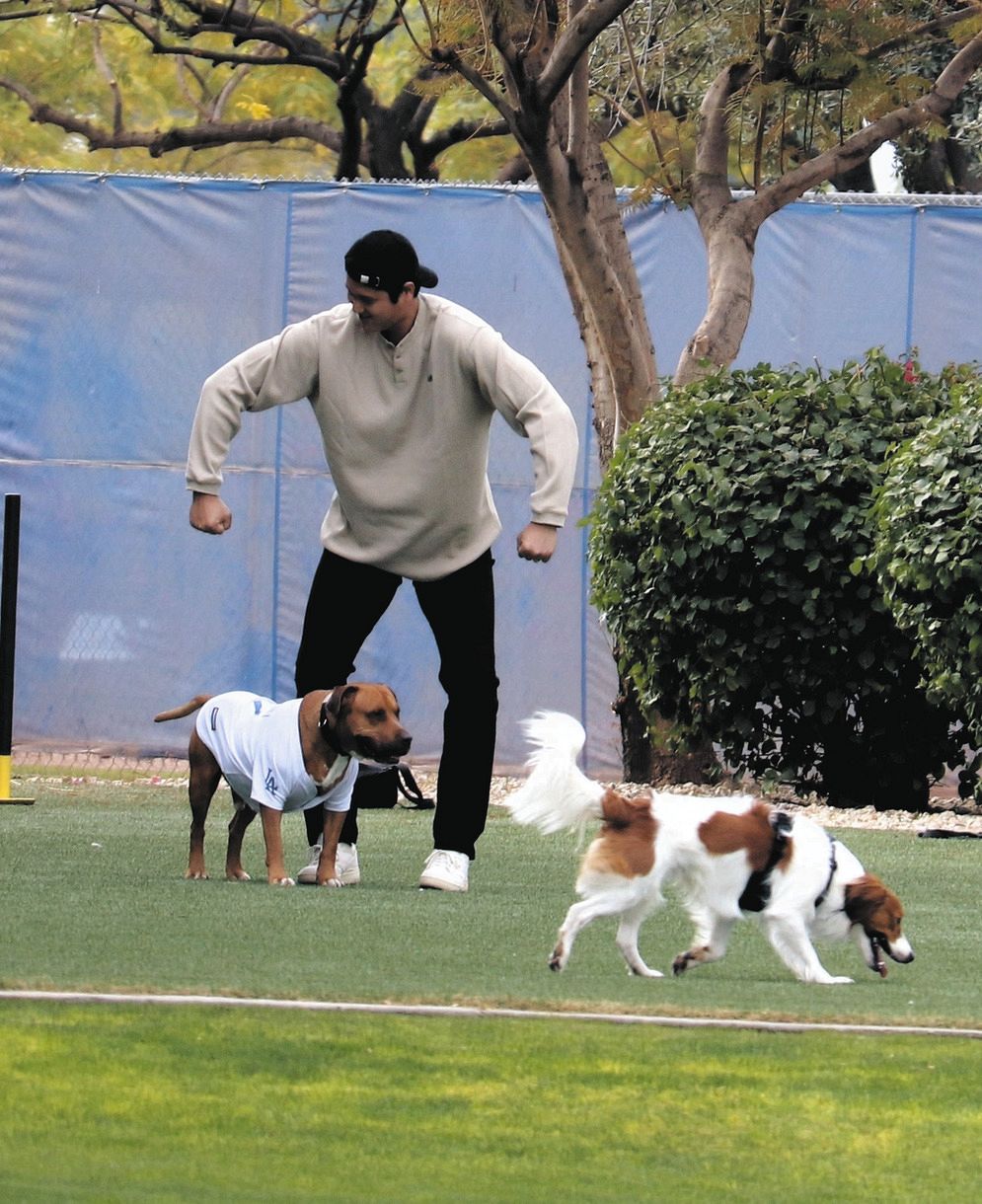 大谷翔平から愛犬モチーフのファッション流行？…2年目ナックは愛犬の