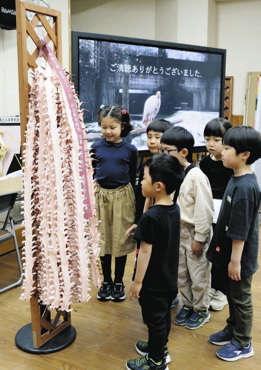 いしかわ動物園での折り紙「千羽トキ」プロジェクト