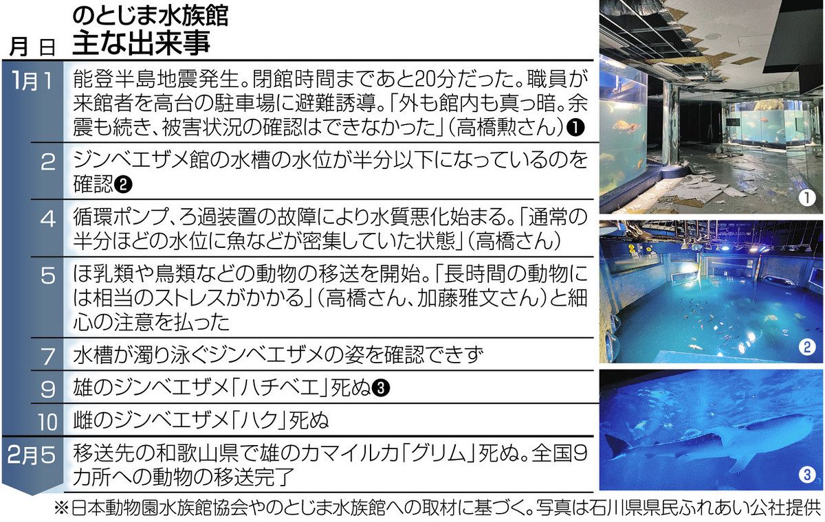 ジンベエザメ泳ぐ水槽の「水がない」 500種の命を守る、のとじま水族館