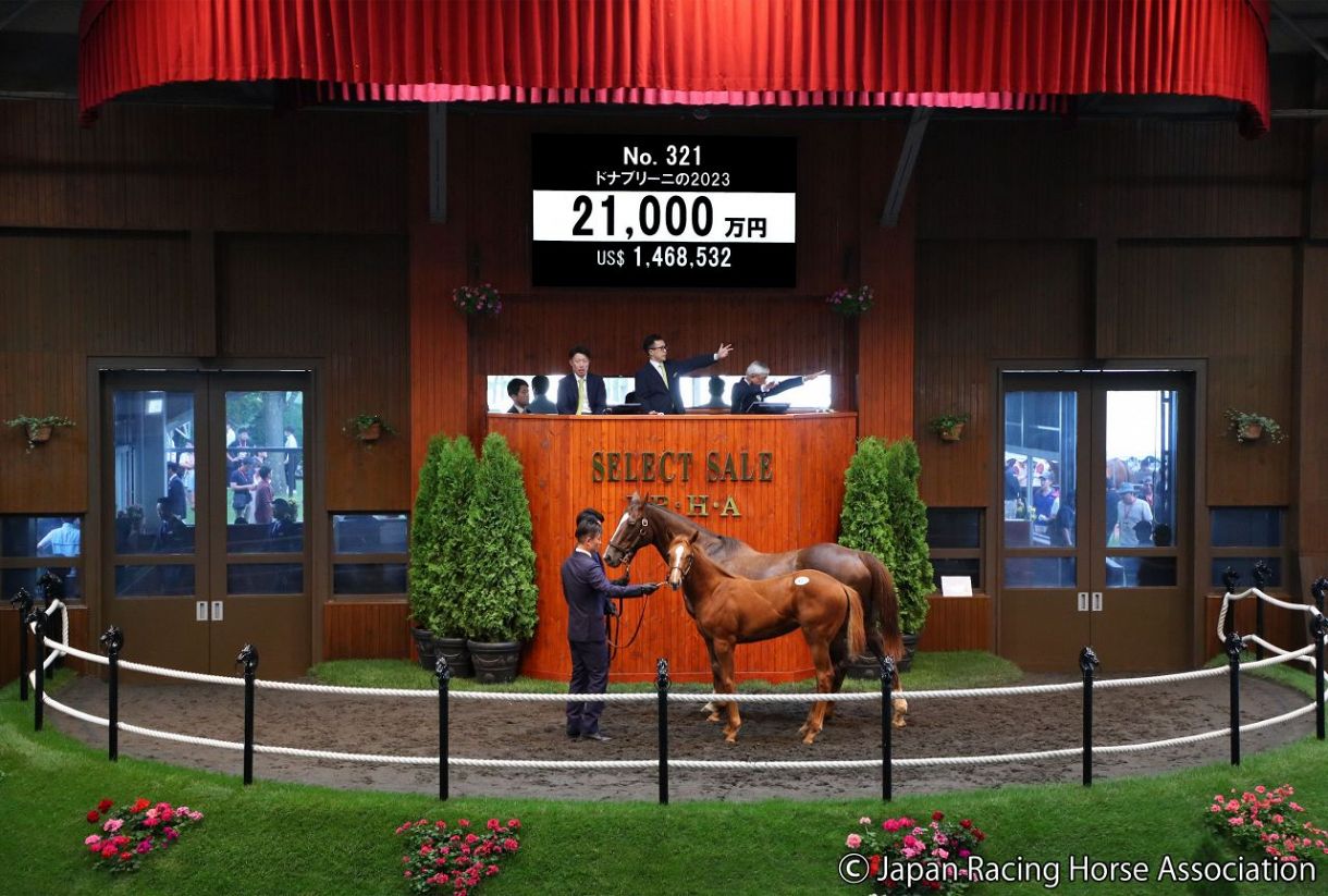 ジェンティルドンナの半妹、ドナブリーニの2023（牝）は2.1億円 香港