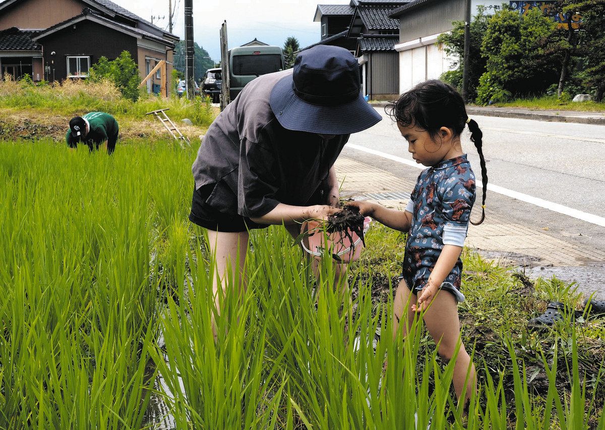 環境保全の農業へ一汗 入善 かがんぽしいの里が草取り：北陸中日新聞Web