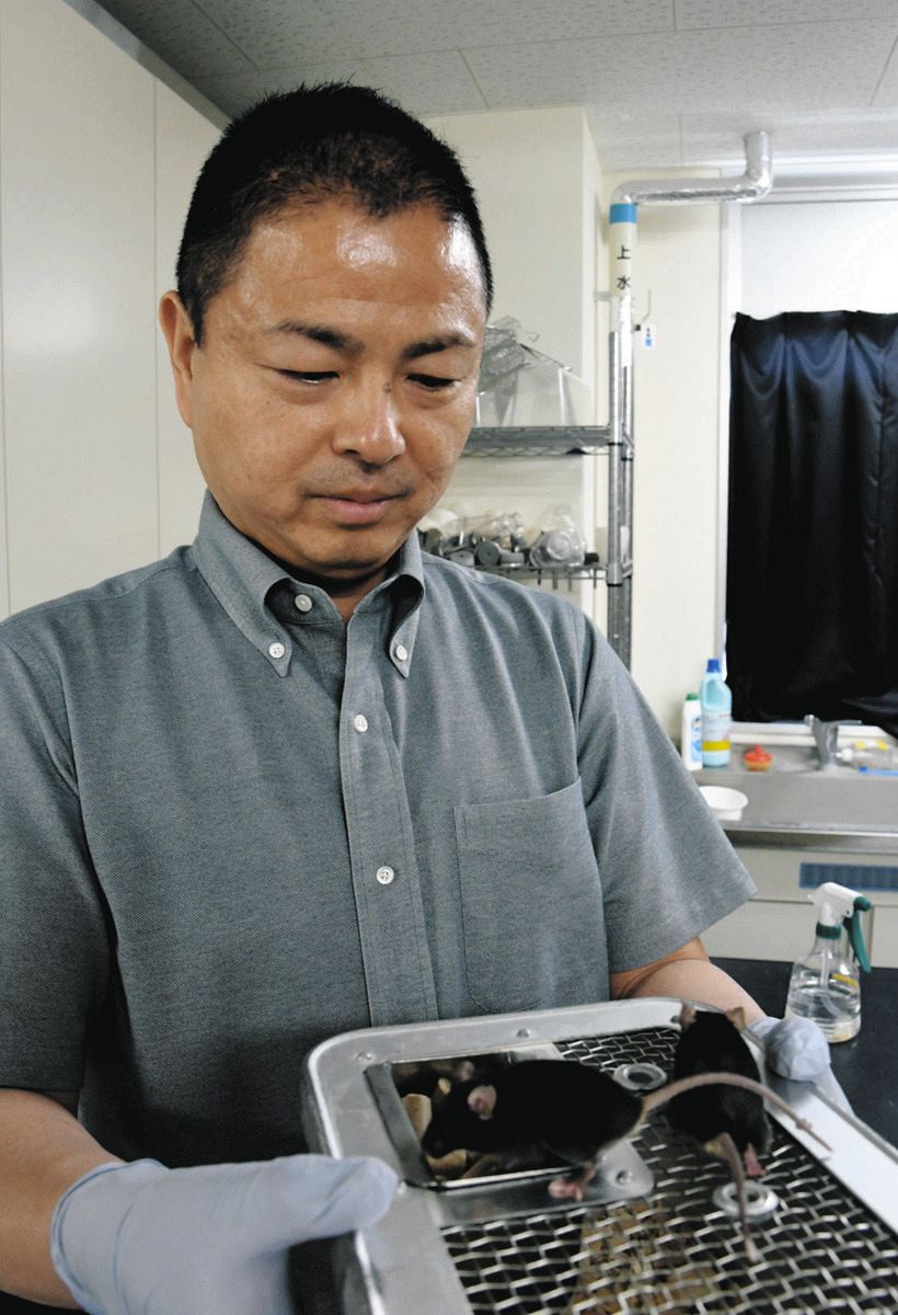 遺伝子「CHD8」の過剰が発達障害の原因か 金沢大の西山正章教授ら