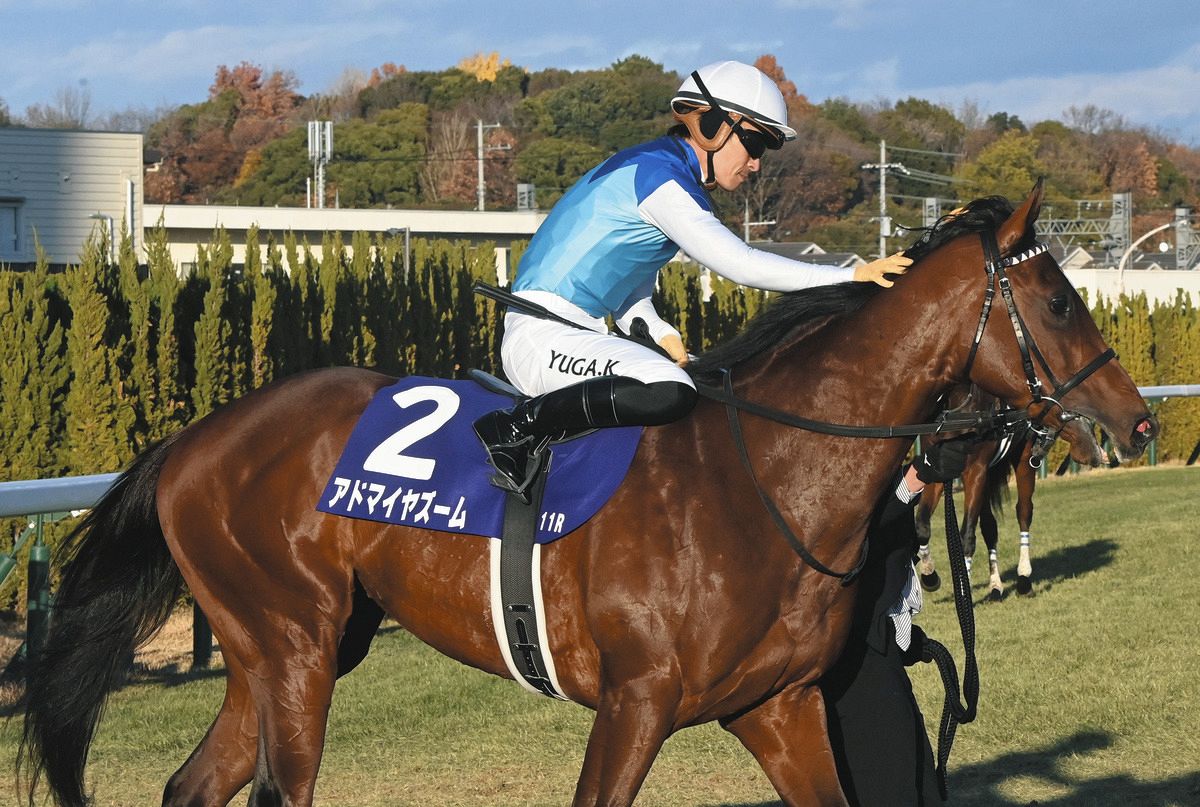 本城雅人コラム】アドマイヤズーム快勝、友道厩舎からまた新しいG1