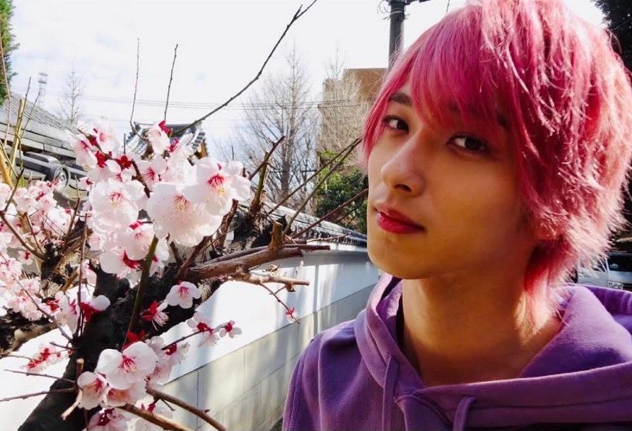 横浜流星ピンク髪再び ドラマ はじこい 由利匡平の ゆりゆり誕生祭 トレンド入り 中日スポーツ 東京中日スポーツ