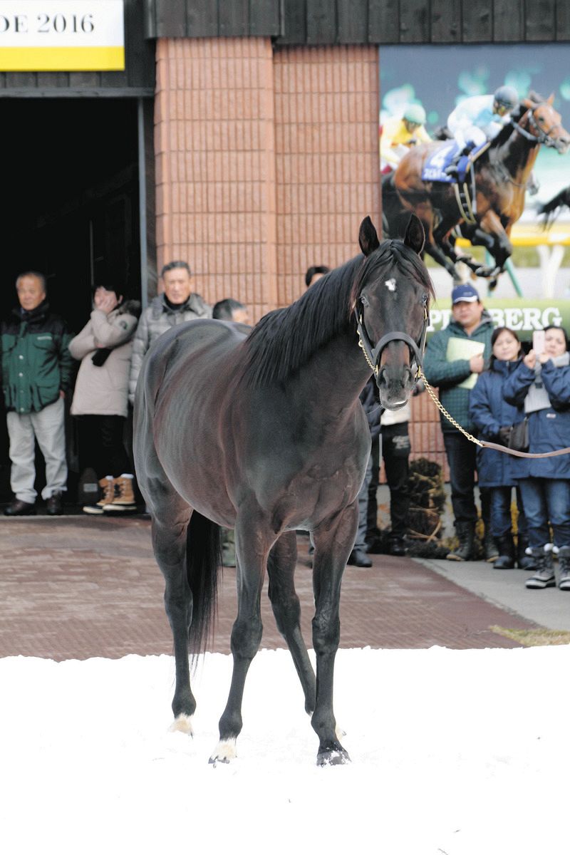 200頭を超える牝馬を集めたキズナとイクイノックス 「黄金世代