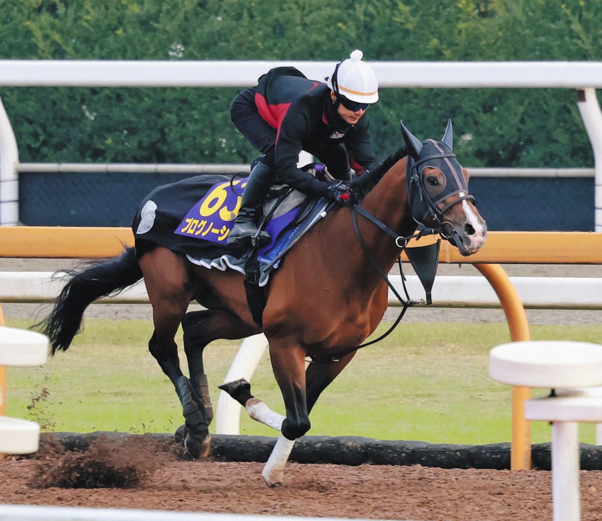 プログノーシスの状態は?…川田「どれほどの戦いができるのか、楽しみ 