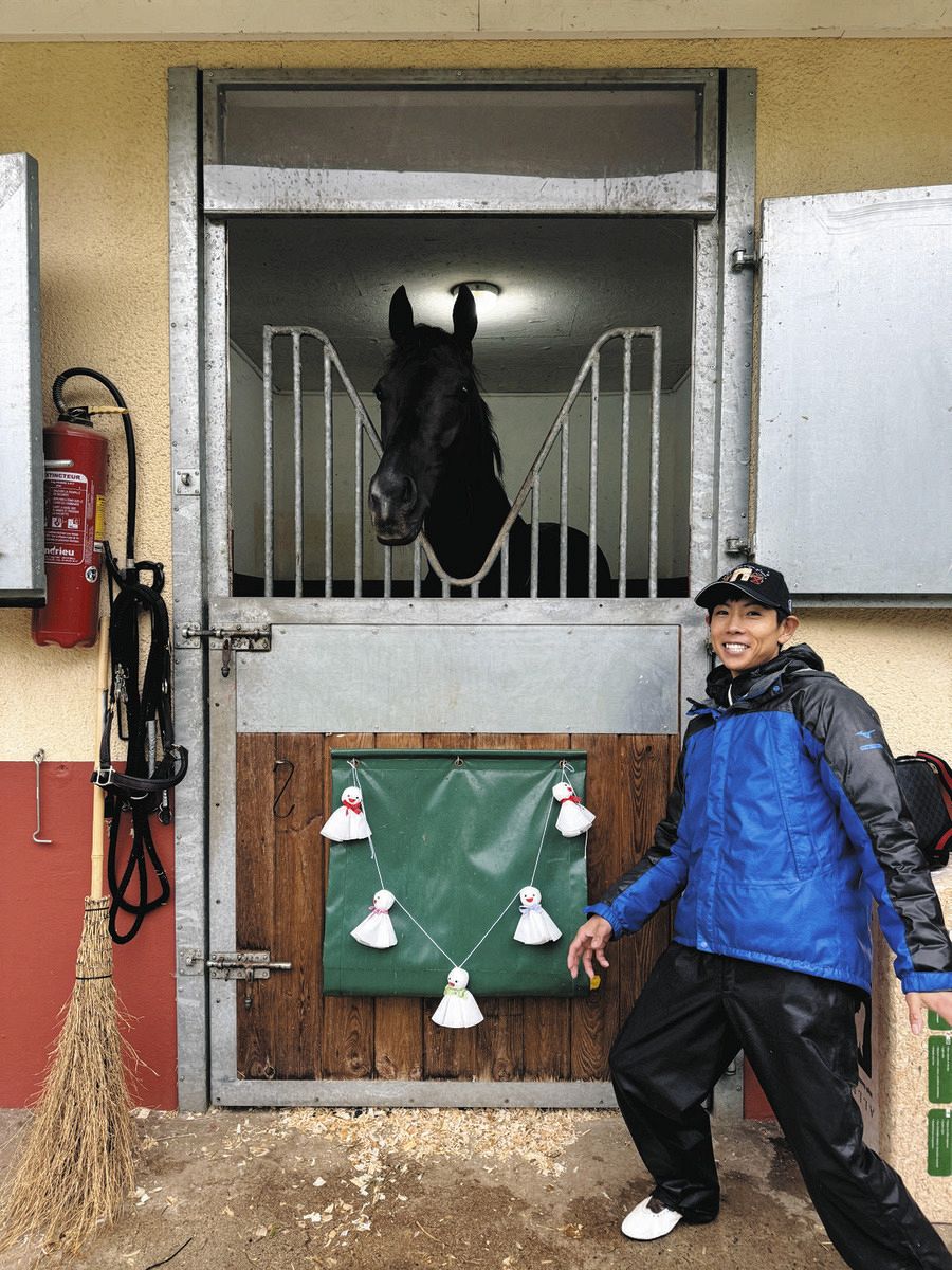 カランダガン　クロワデュノール　ミニゼッケン　競馬　JRA 小泉恵未コラム】楽しみな一戦ジャパンC、頑張れクロワデュノール 大物