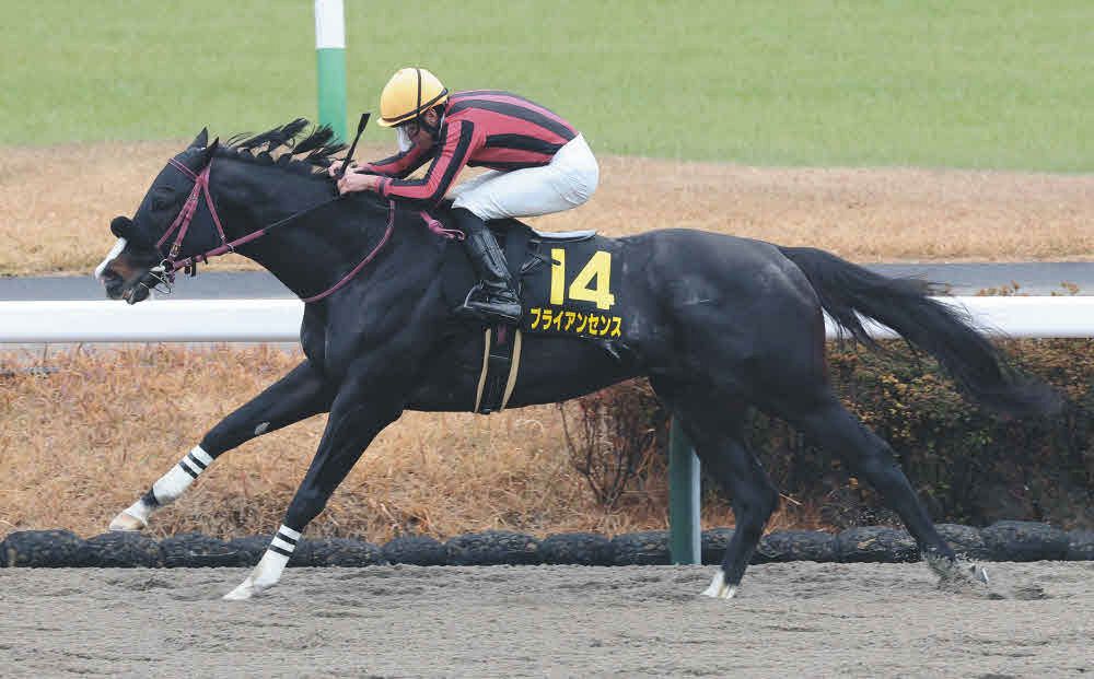 有力馬の動向】ダノンマッキンリーはC・デムーロ騎手と阪神Cへ 師走S