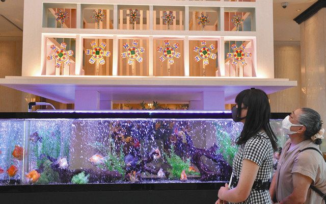 涼感たっぷり 錦魚の舞 名古屋市中村区のホテル 中日新聞web