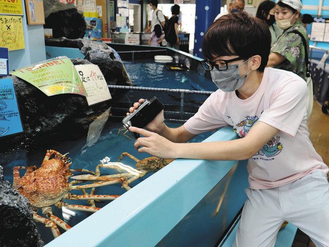 クスッと笑える 動画チラ見せ 竹島水族館 集客のツールに 中日新聞web