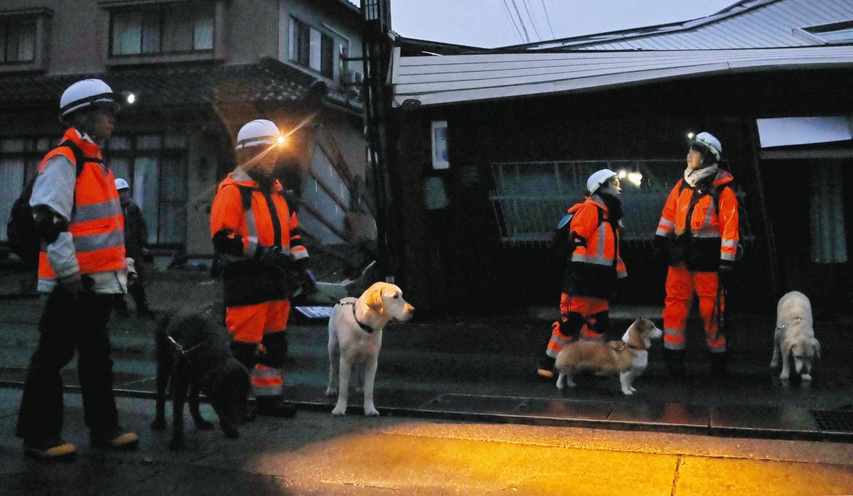 能登半島地震】現場は緊急車両も入れない狭い路地、災害救助犬が活躍：中日新聞Web