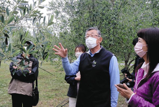 参加者にオリーブについて説明する小楠和男代表（右から２人目＝浜松市南区の和Ｏｌｉｖｅ園で 