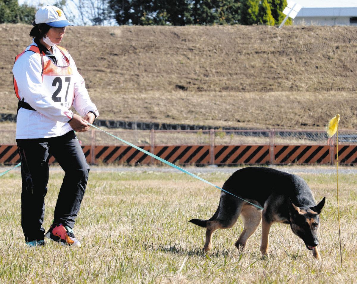 ☆嘱託警察犬試験用 臭気選別台/本番用と練習用｜その他