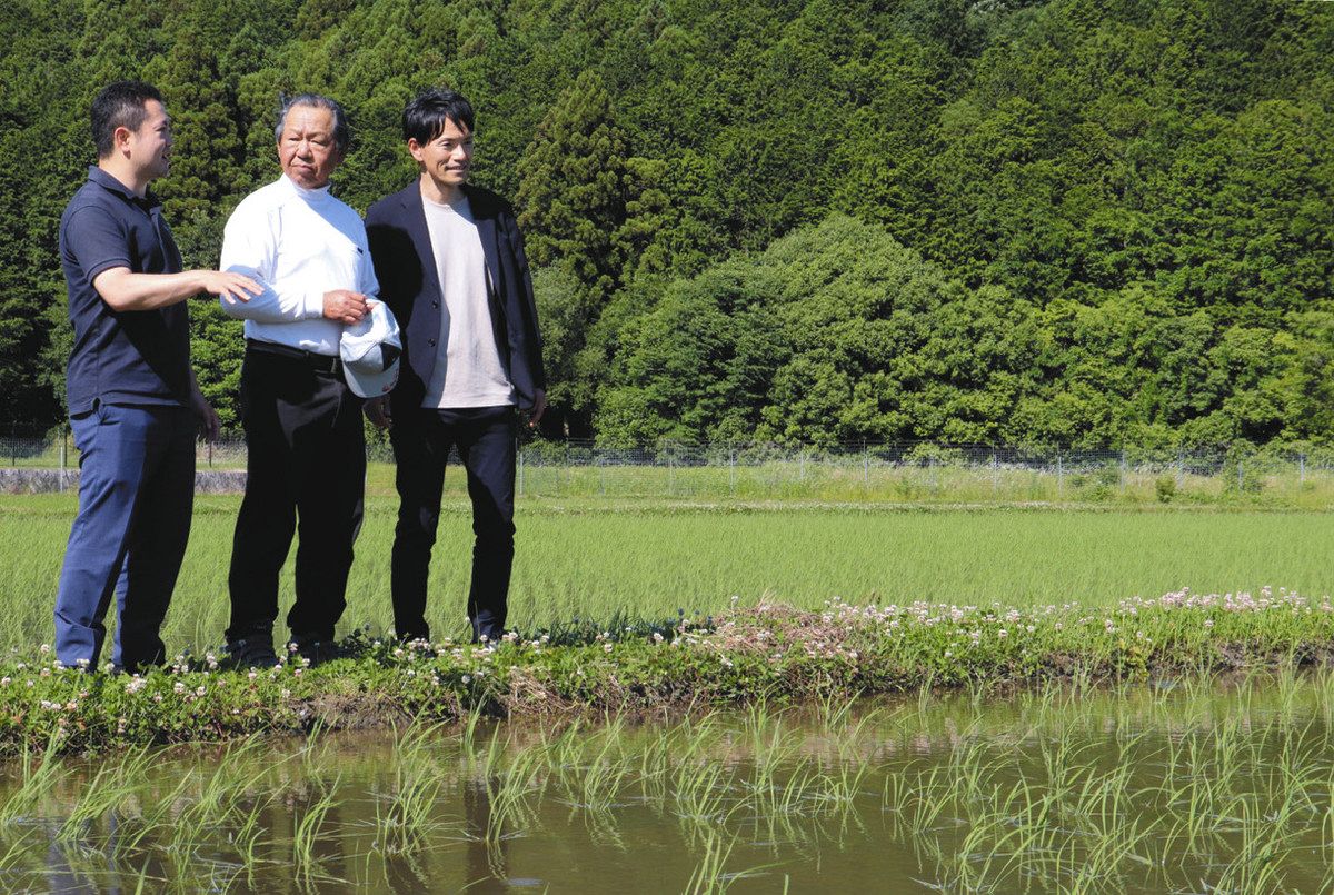 中干し作業について話し合う磯貝室長（右）と草野さん（中）ら＝岐阜県大垣市で
