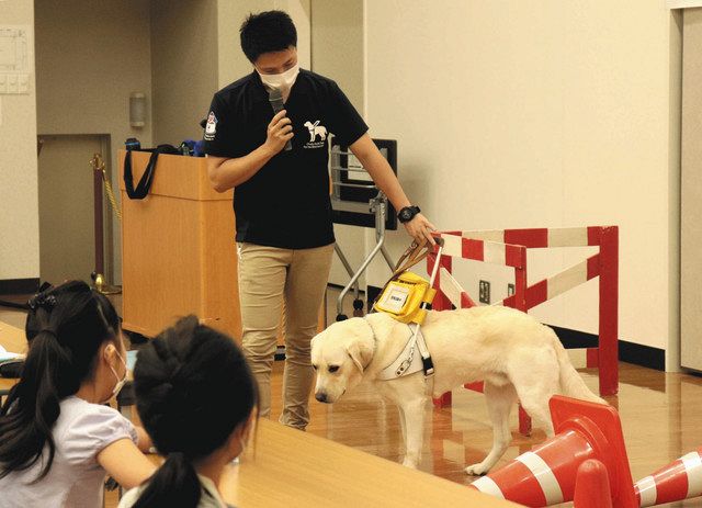 盲導犬の仕事について学ぶ 県教育文化会館 中日新聞web