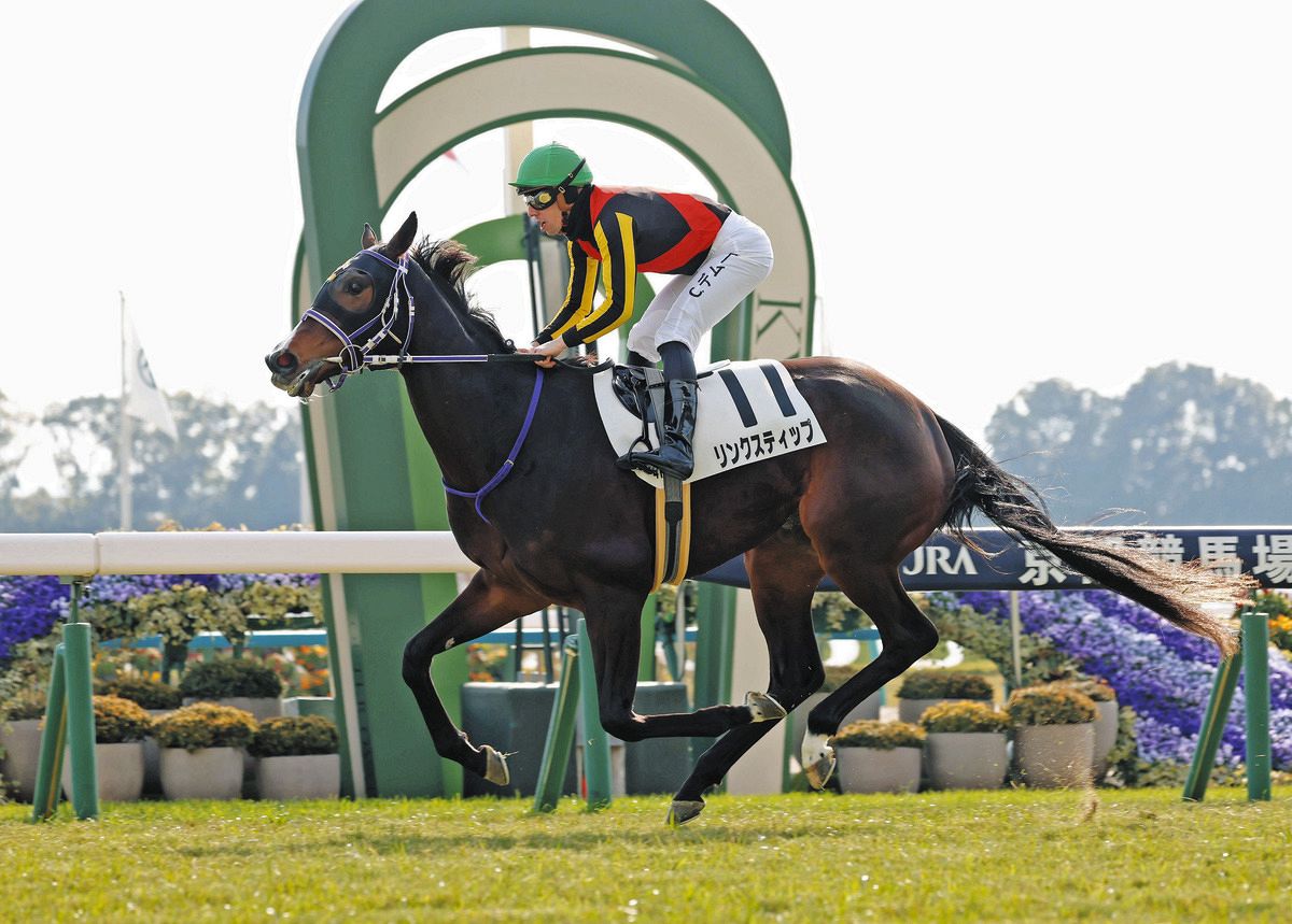桜花賞追い切り】きさらぎ賞2着リンクスティップ栗東坂路でラスト