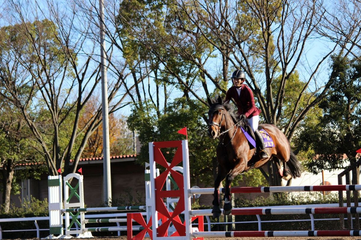 「第2の馬生」輝いてます 引退競走馬による馬術競技会「RRCファイナル」 師走の東京競馬場で40頭が技を競う：中日スポーツ・東京中日スポーツ