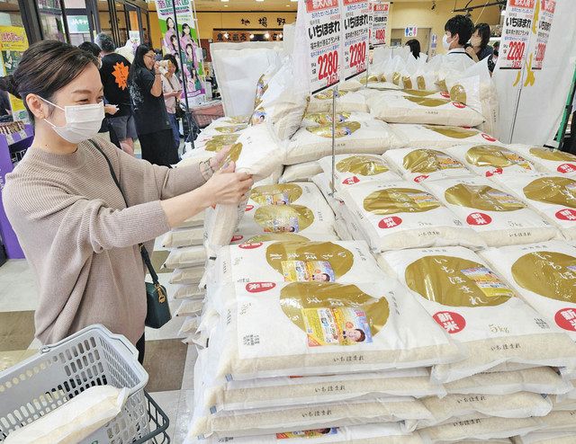 福井米新米いちほまれ30kg、残り5袋限定 いちほまれ 「福井県の新しいブランド米」令和5年福井県 | ふくい味覚
