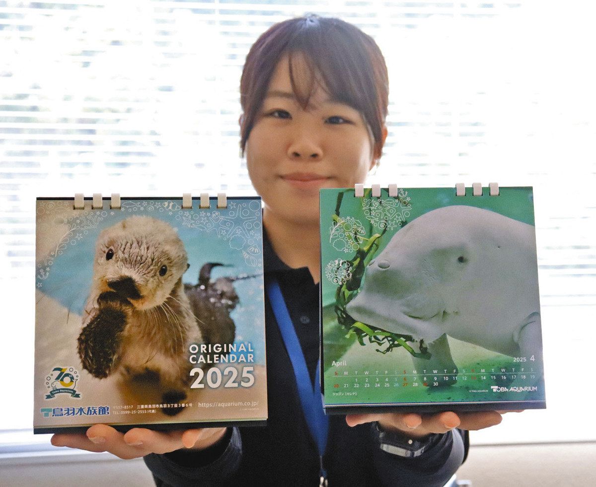 人気者たちを間近で撮影 鳥羽水族館2025年版カレンダー販売中：中日新聞Web