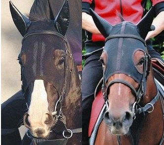 イクイノックス&リバティアイランド　まとめ売り イクイノックス&リバティアイランド まとめ売り イクイノックス