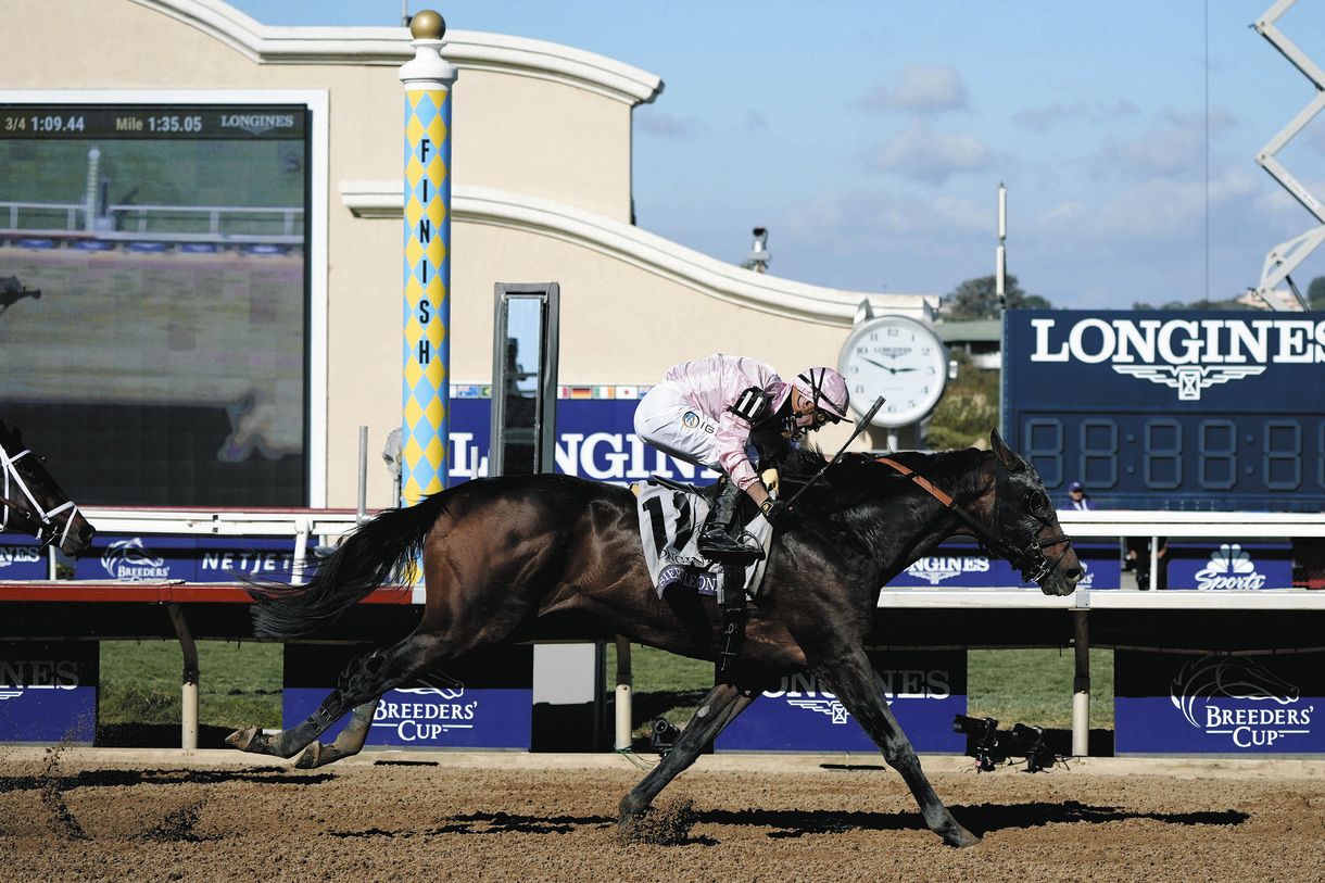 ブリーダーズCクラシック】フォーエバーヤングは直線伸びるも3着