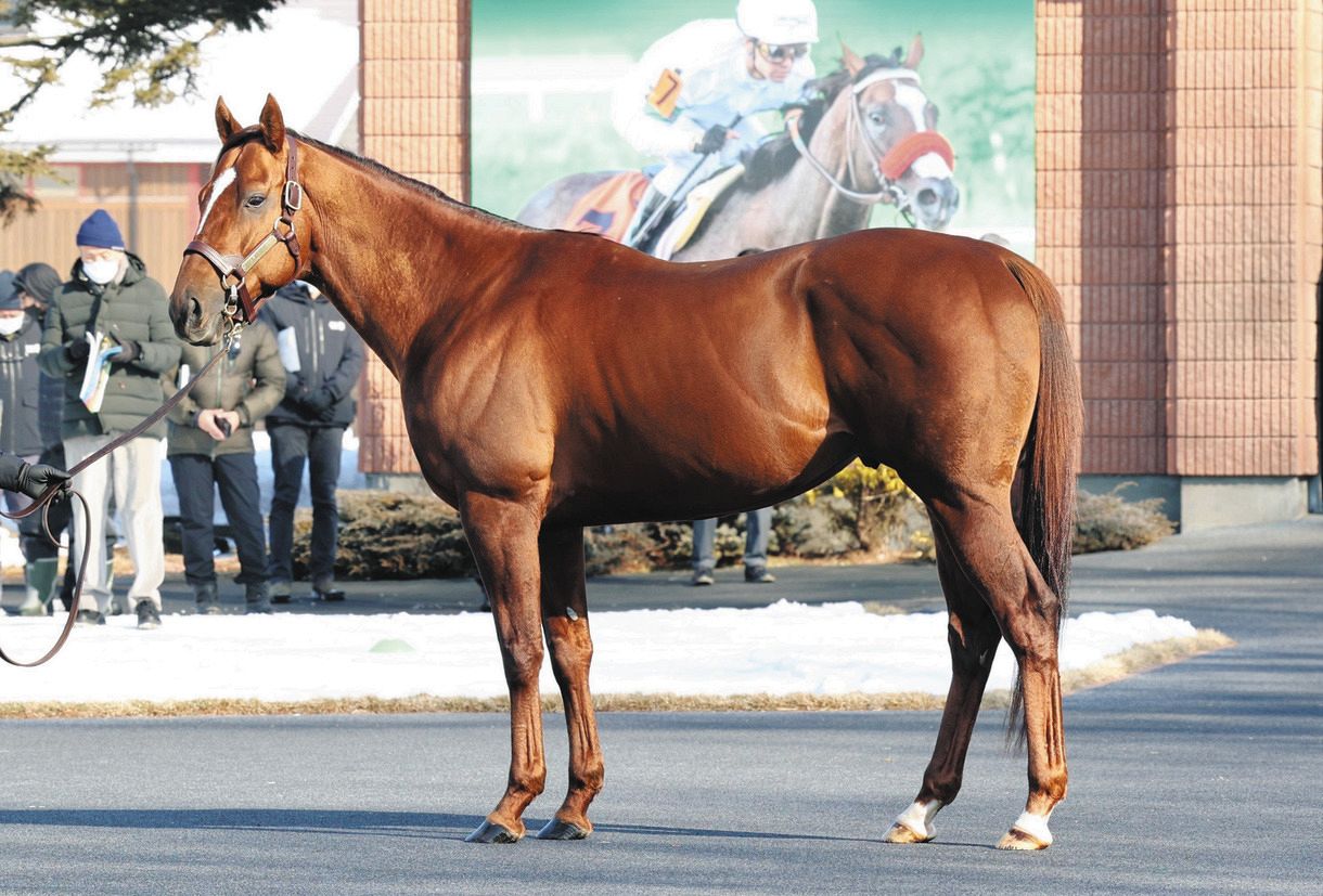 「社台スタリオンＳ種牡馬カタログ 2002年版 ウマ娘登場名馬多数掲載」 社台スタリオンステーション種牡馬展示会にドウデュース登場