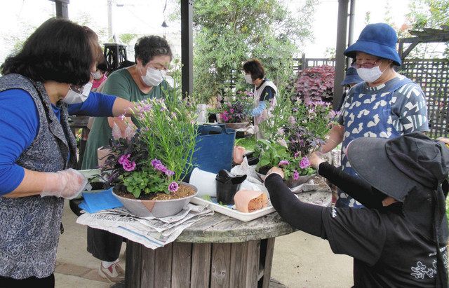 花を寄せ植え 鉢カラフルに ｊａ小松市女性会 北陸中日新聞web