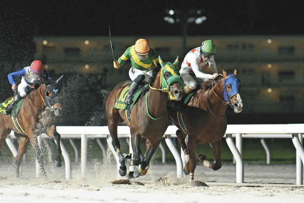 かしわ記念・船橋競馬】単勝3番人気ウィルソンテソーロが1番人気