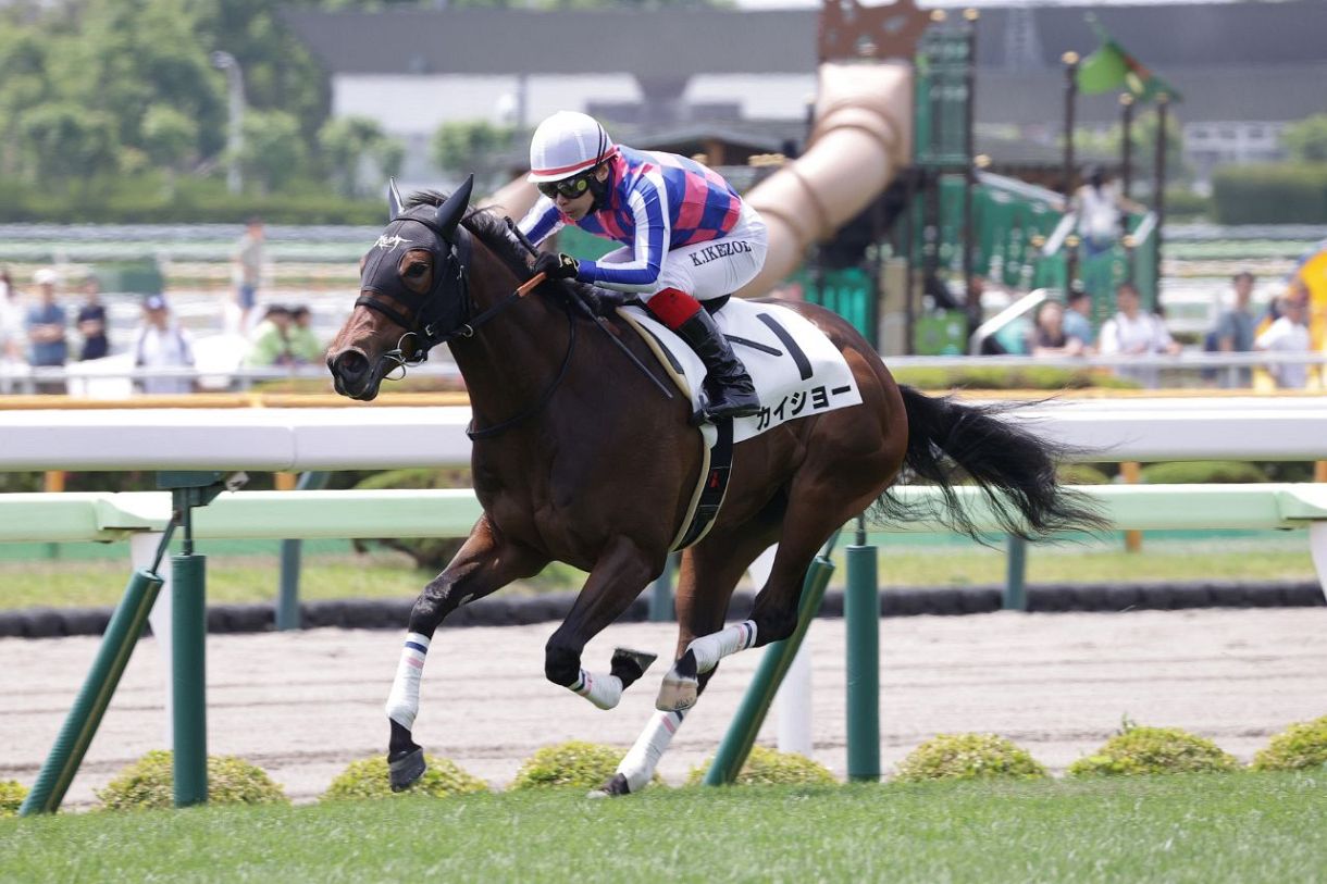 サトノダイヤモンド 新馬戦〜天皇賞・春 2歳から4歳国内全10